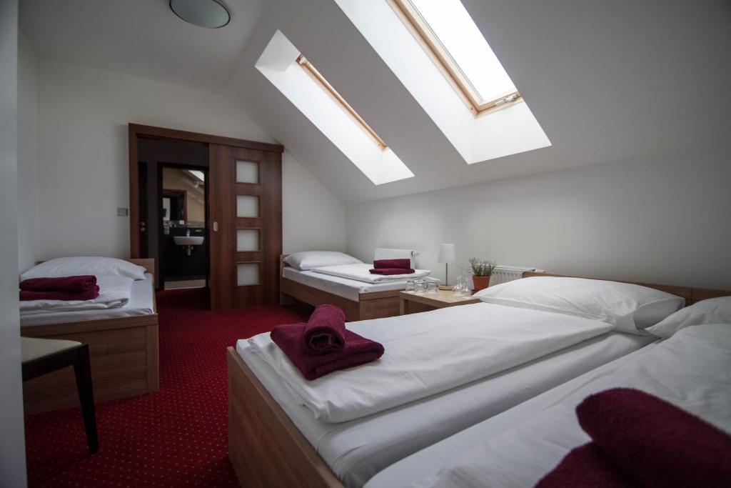 Hotel Krusnohorsky Dvur Cínovec Zimmer foto